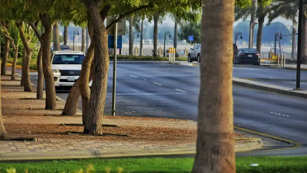 Saudi Iqama Renewal 2026: Fees, Absher Steps, Penalties & Rules Saudi street view – living and working legally with a valid iqama